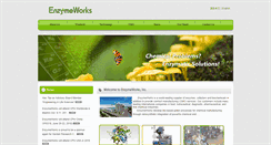 Desktop Screenshot of enzymeworking.com