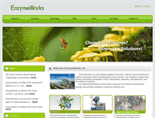 Tablet Screenshot of enzymeworking.com